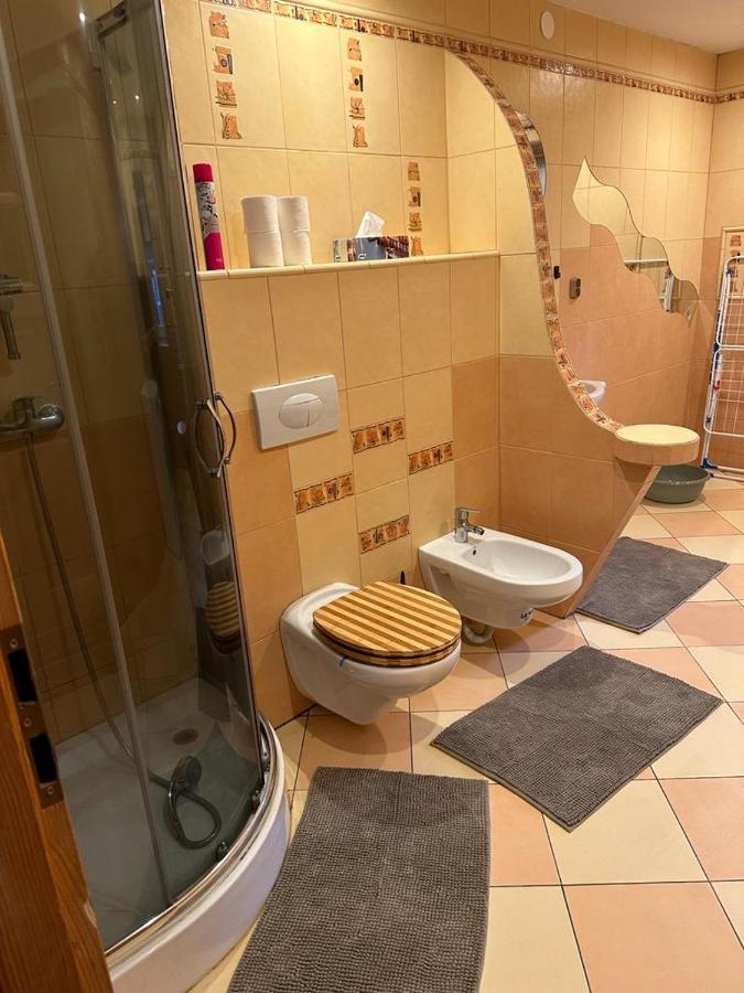 Agroturystyka Alpaka Konradow Apartment Konradow  ภายนอก รูปภาพ