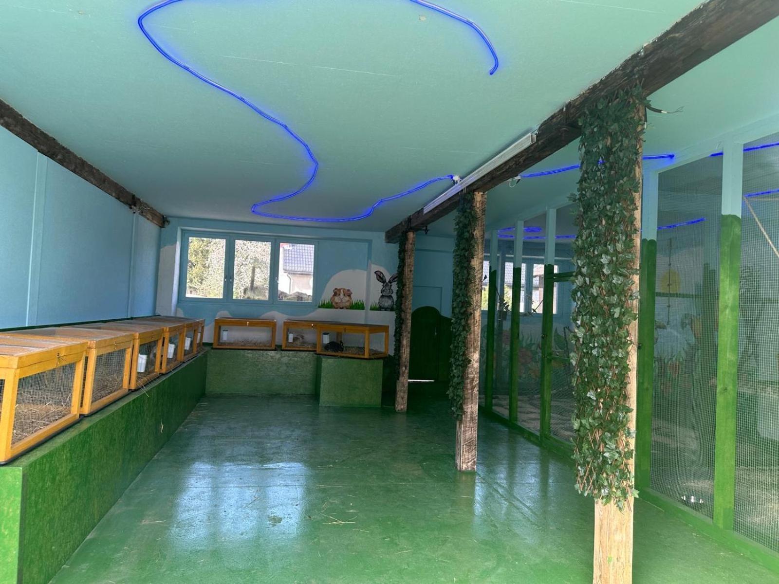 Agroturystyka Alpaka Konradow Apartment Konradow  ภายนอก รูปภาพ